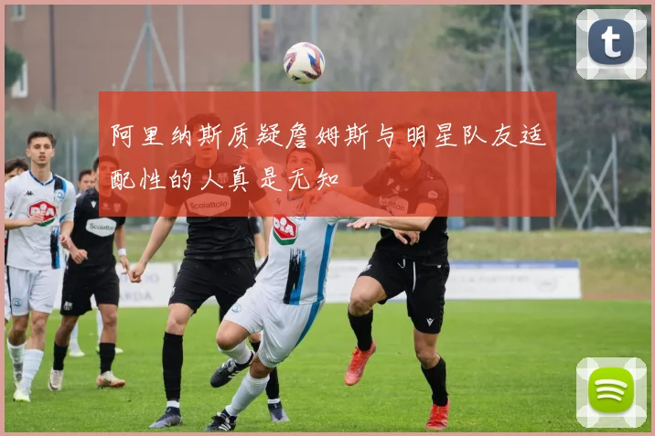 阿里纳斯质疑詹姆斯与明星队友适配性的人真是无知