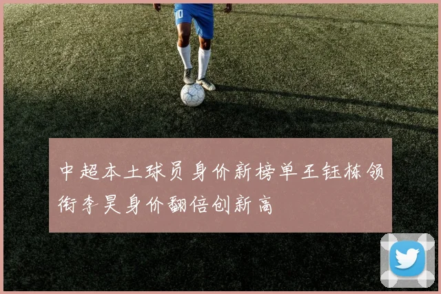 中超本土球员身价新榜单王钰栋领衔李昊身价翻倍创新高