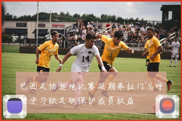 巴西足协拒绝比赛延期弗拉门戈呼吁学习欧足联保护成员权益